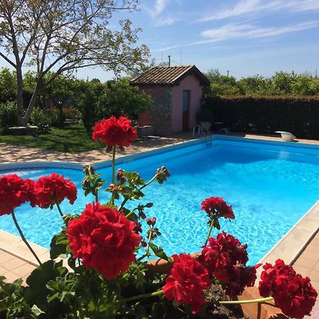 לינה וארוחת בוקר טראפיטלו Il Giardino Segreto מראה חיצוני תמונה