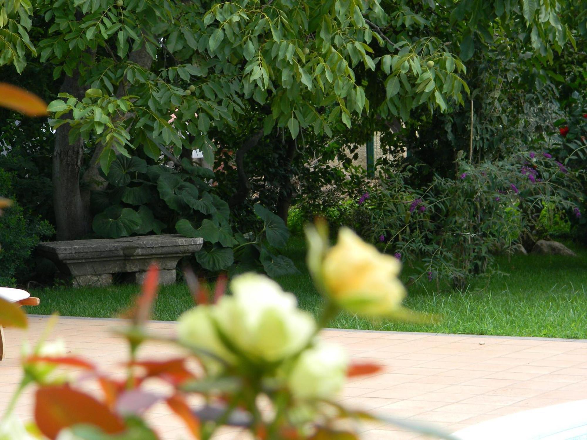 לינה וארוחת בוקר טראפיטלו Il Giardino Segreto מראה חיצוני תמונה